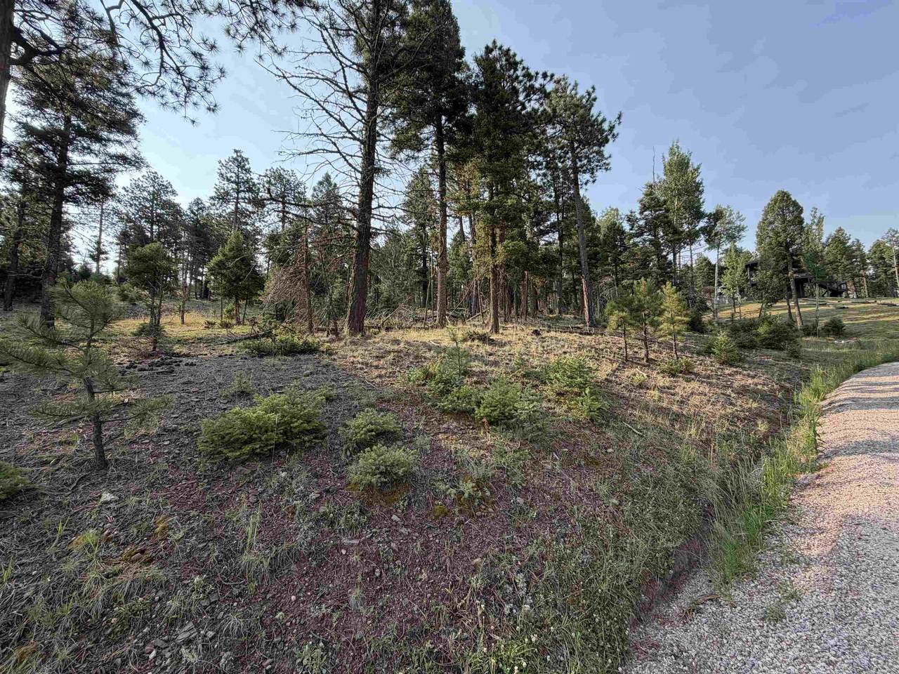 Lot 1581 Luna - Photo 1