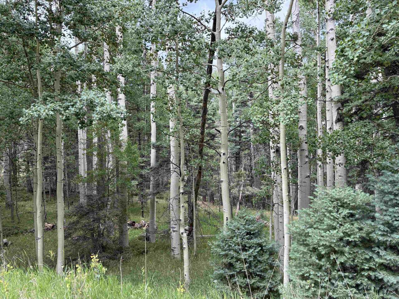 https://bt-photos.global.ssl.fastly.net/taos/1280_boomver_1_115338-2.jpg