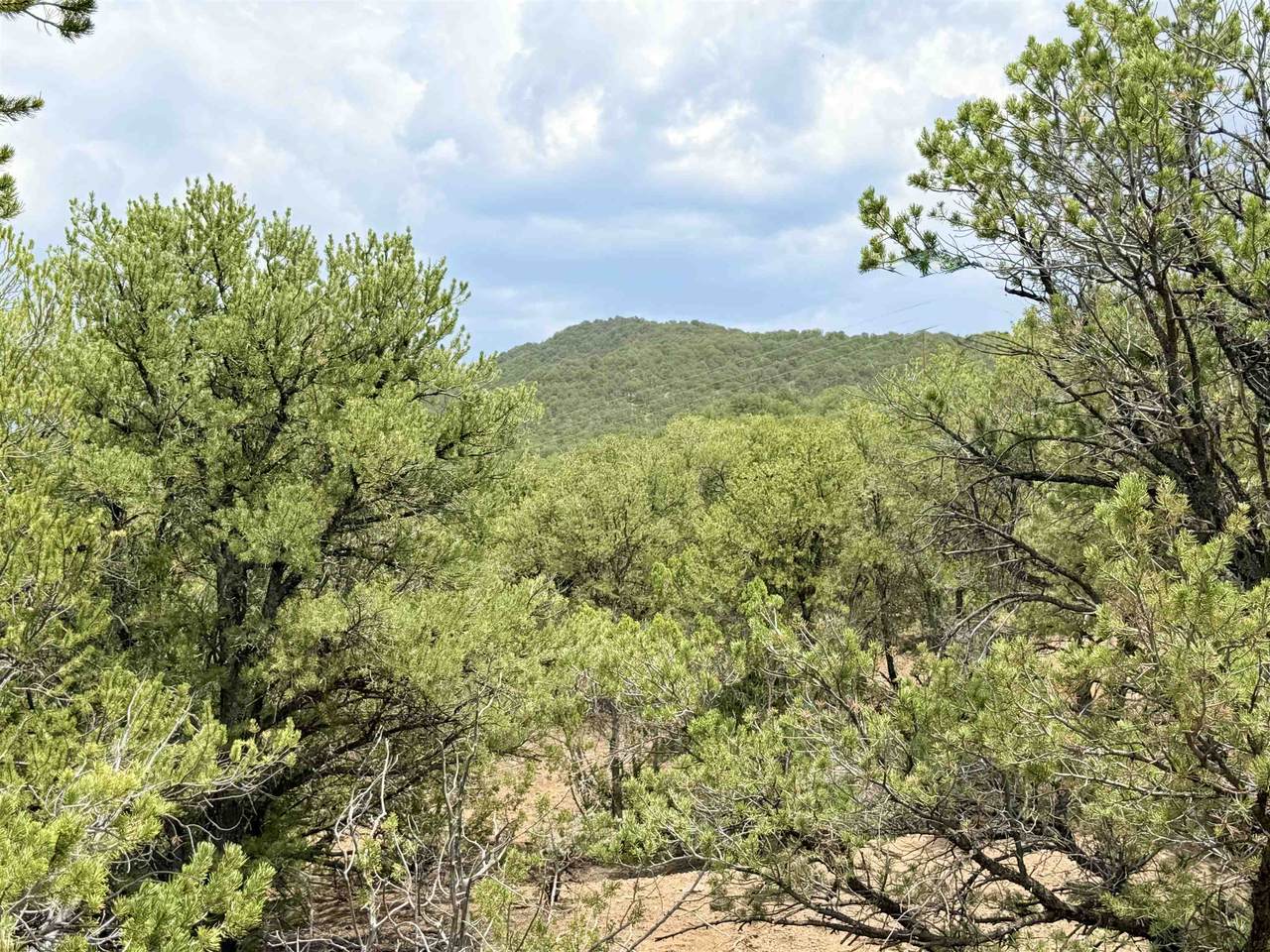 https://bt-photos.global.ssl.fastly.net/taos/1280_boomver_1_115344-2.jpg
