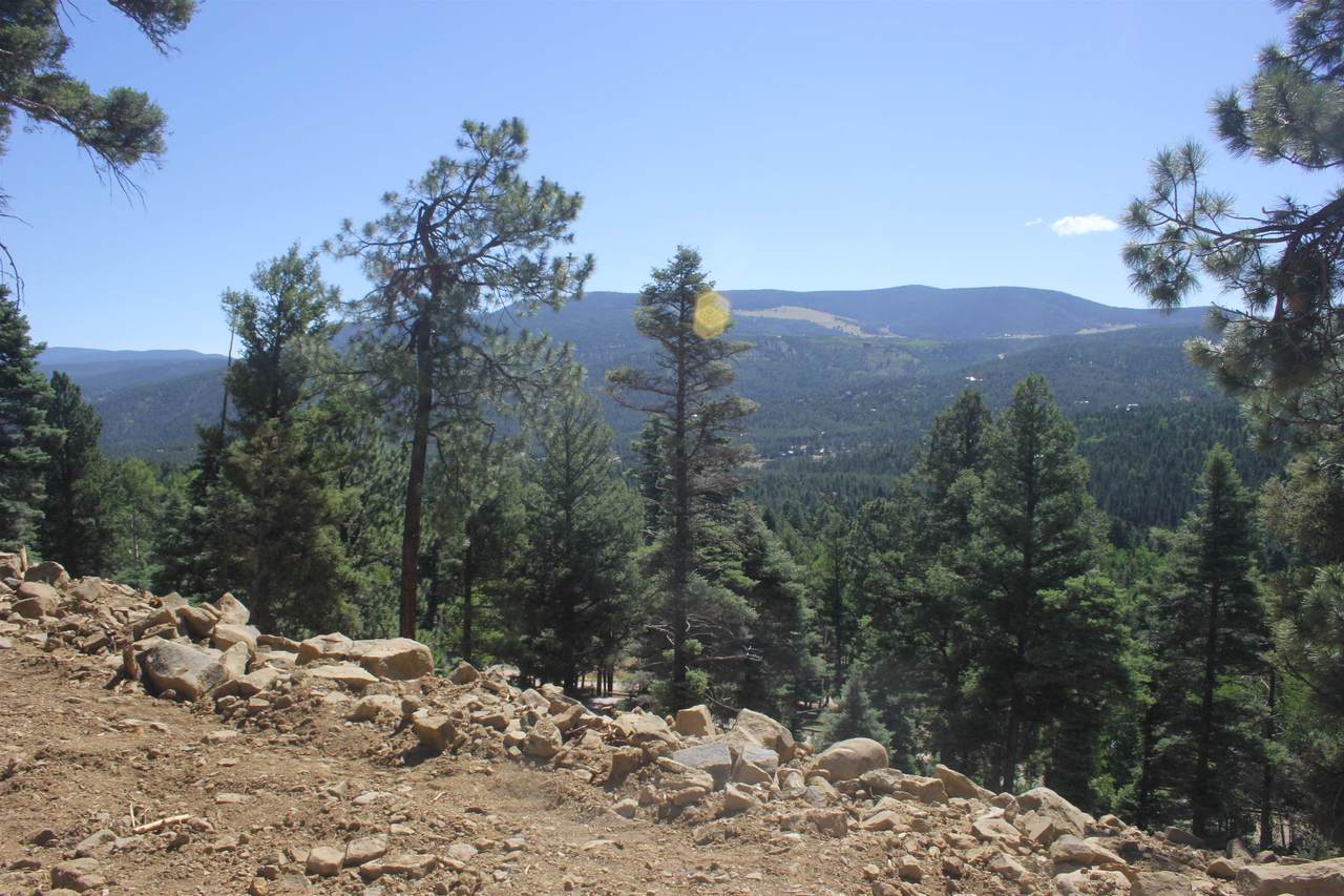 lot 208 Taos Drive - Photo 1