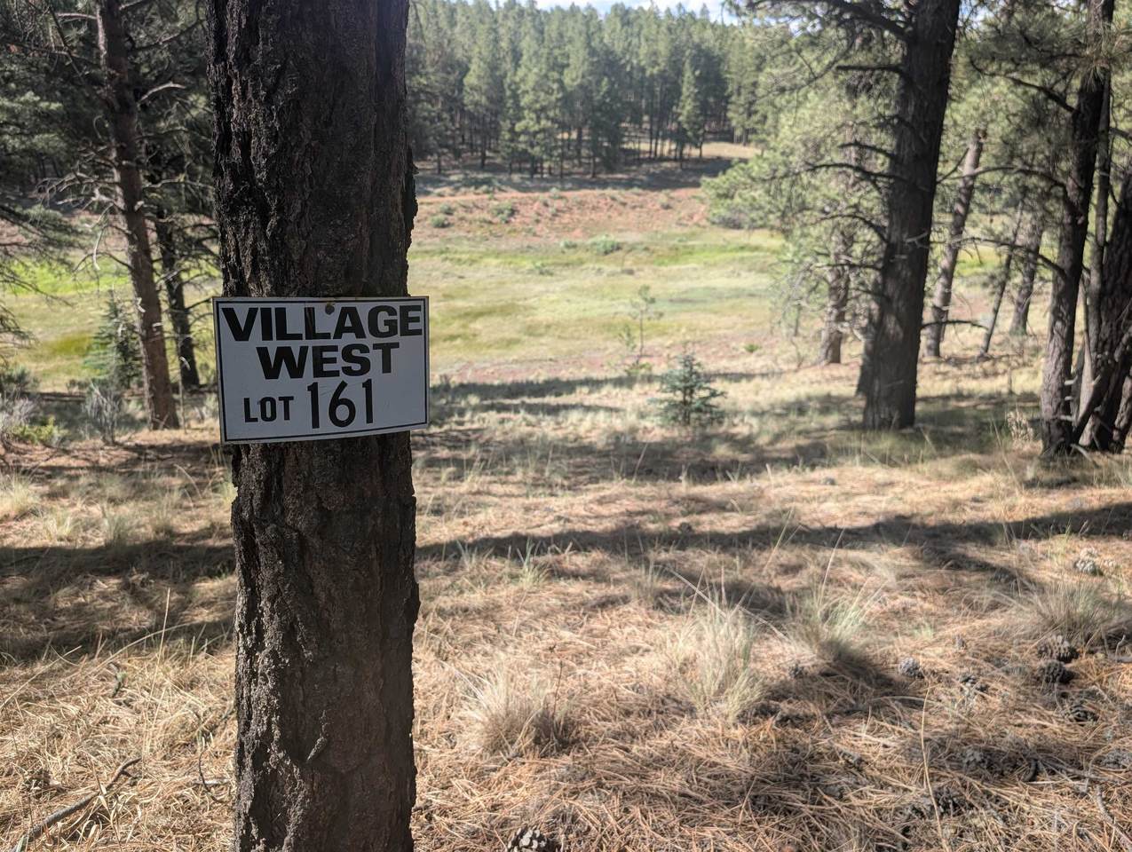 TBD Valle Grande Trail - Photo 1