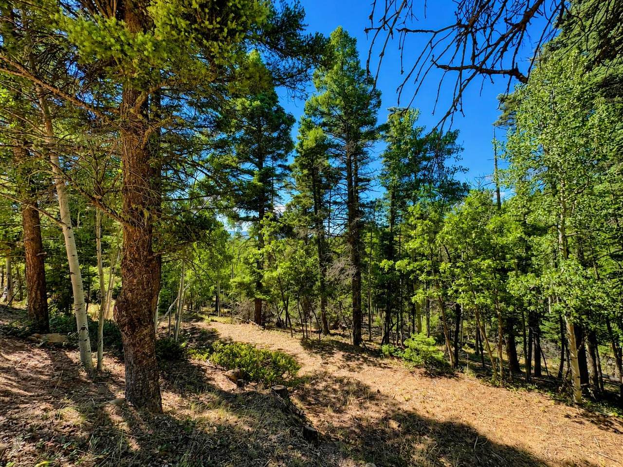 Lot 190 Taos Dr - Photo 1