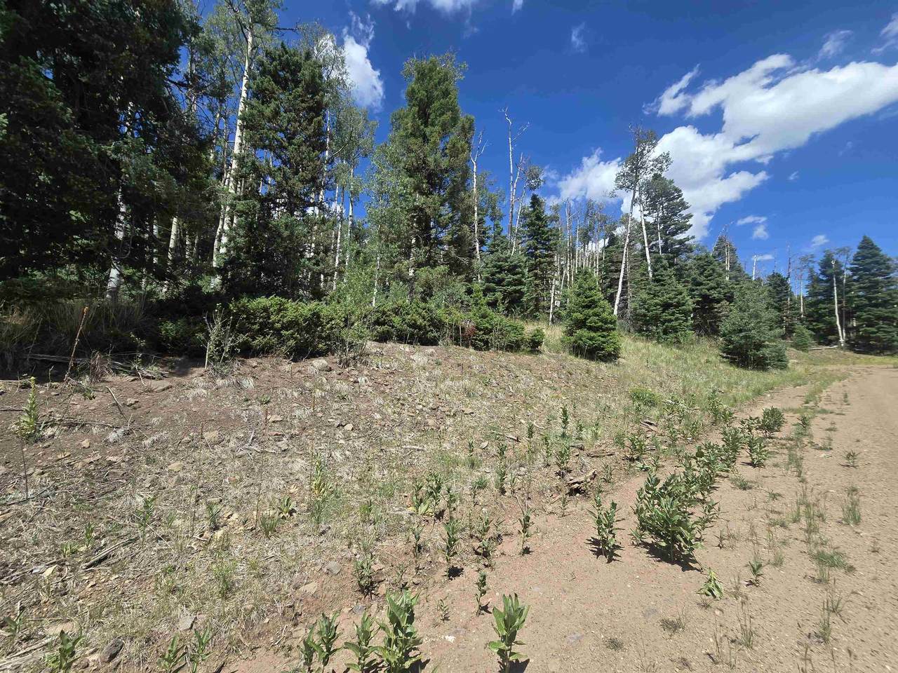 Lot 1302 Plesant Valley - Photo 1