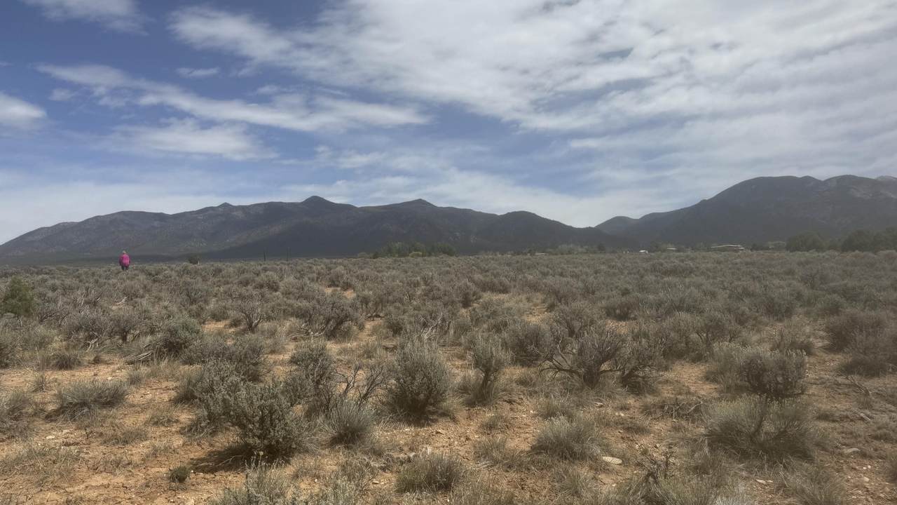  Calvary Camp Road - Photo 1