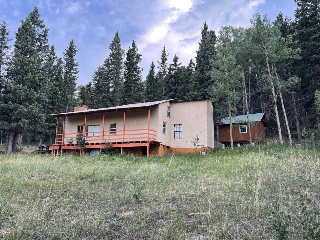 36 Sheilds Avenue - Photo 1