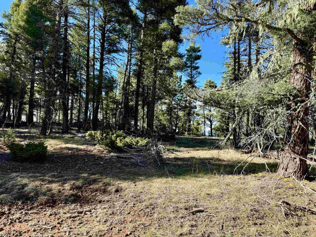 Lot 105 Calle De Los Indios - Photo 1