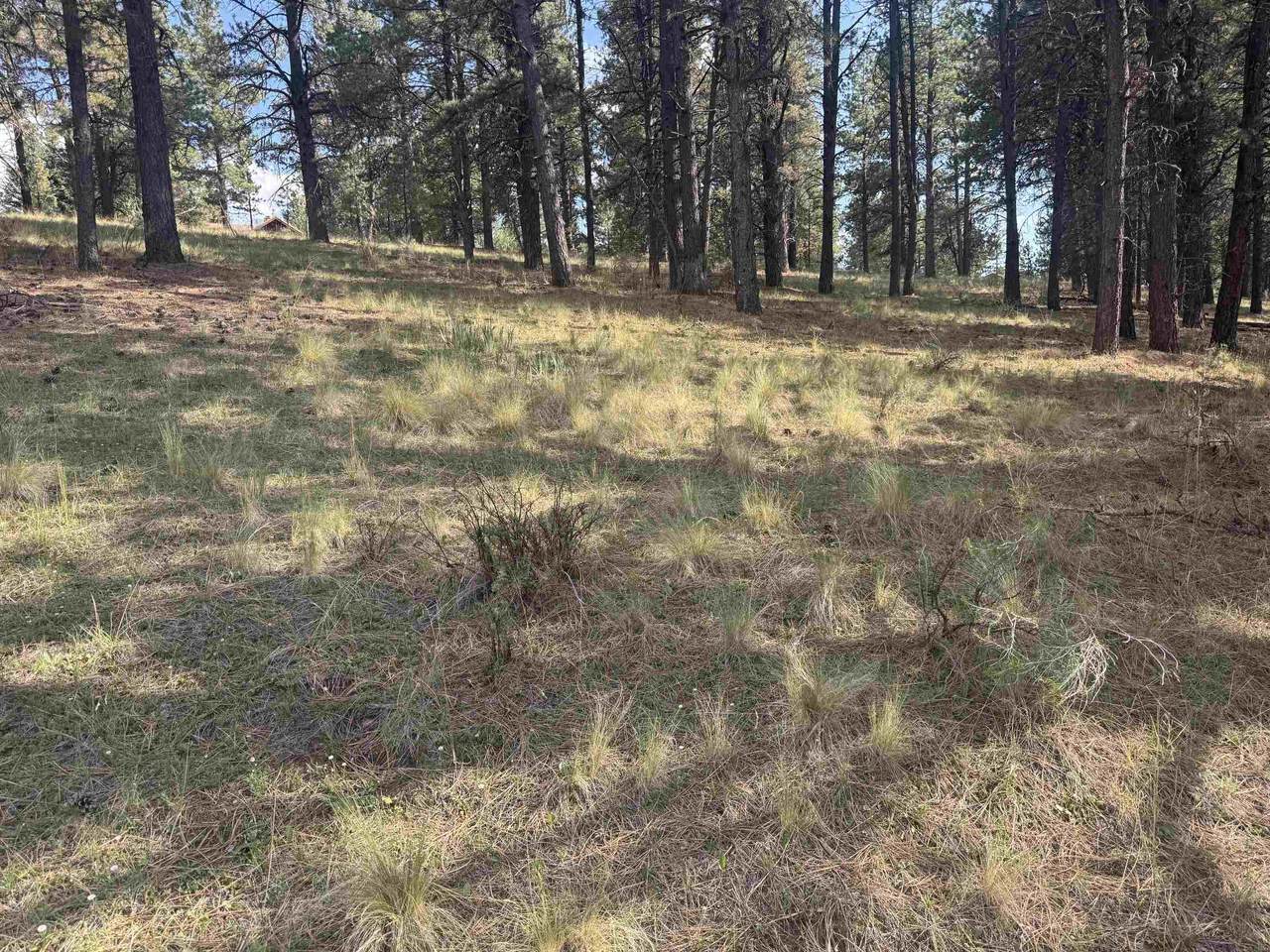 Lot 60 Valley Rd - Photo 1
