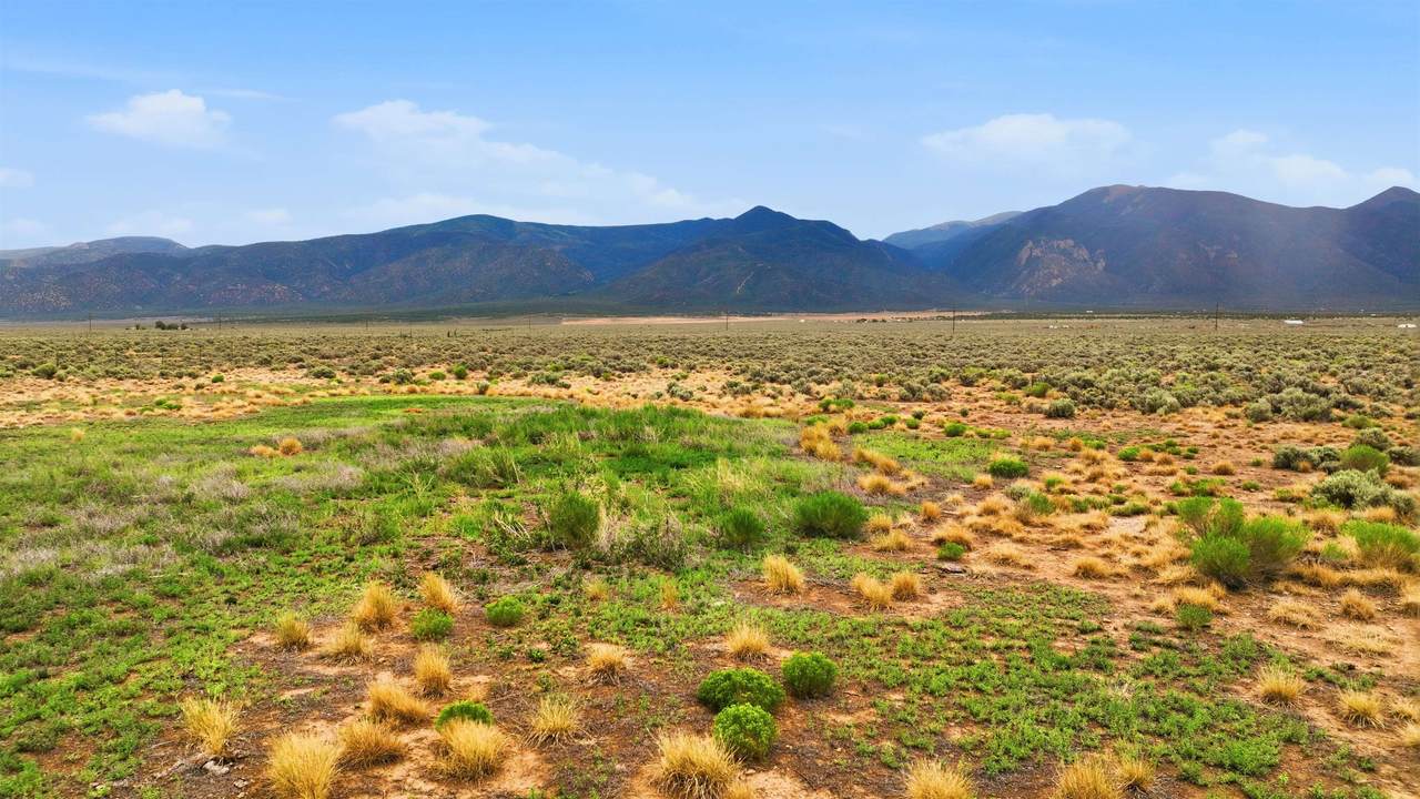 80 Acres Sunshine Valley Road - Photo 1