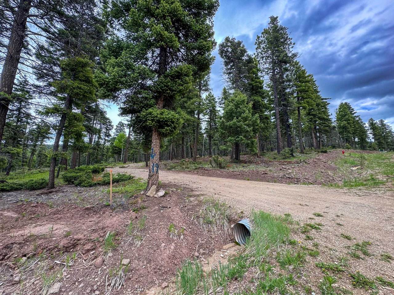 Lot 233 Summit Place - Photo 1
