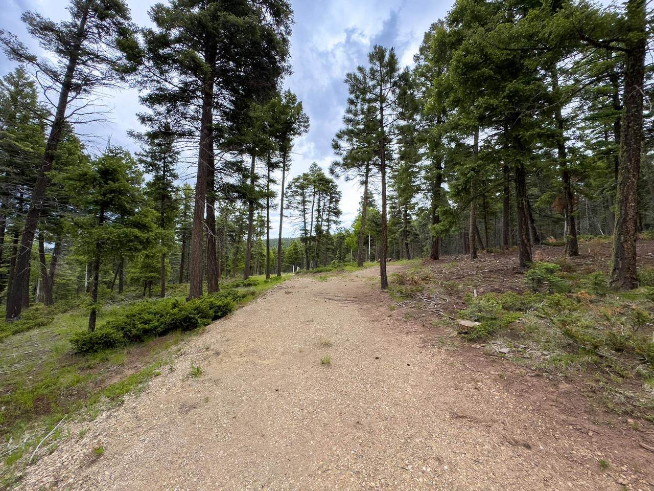 https://bt-photos.global.ssl.fastly.net/taos/1280_boomver_1_115501-2.jpg