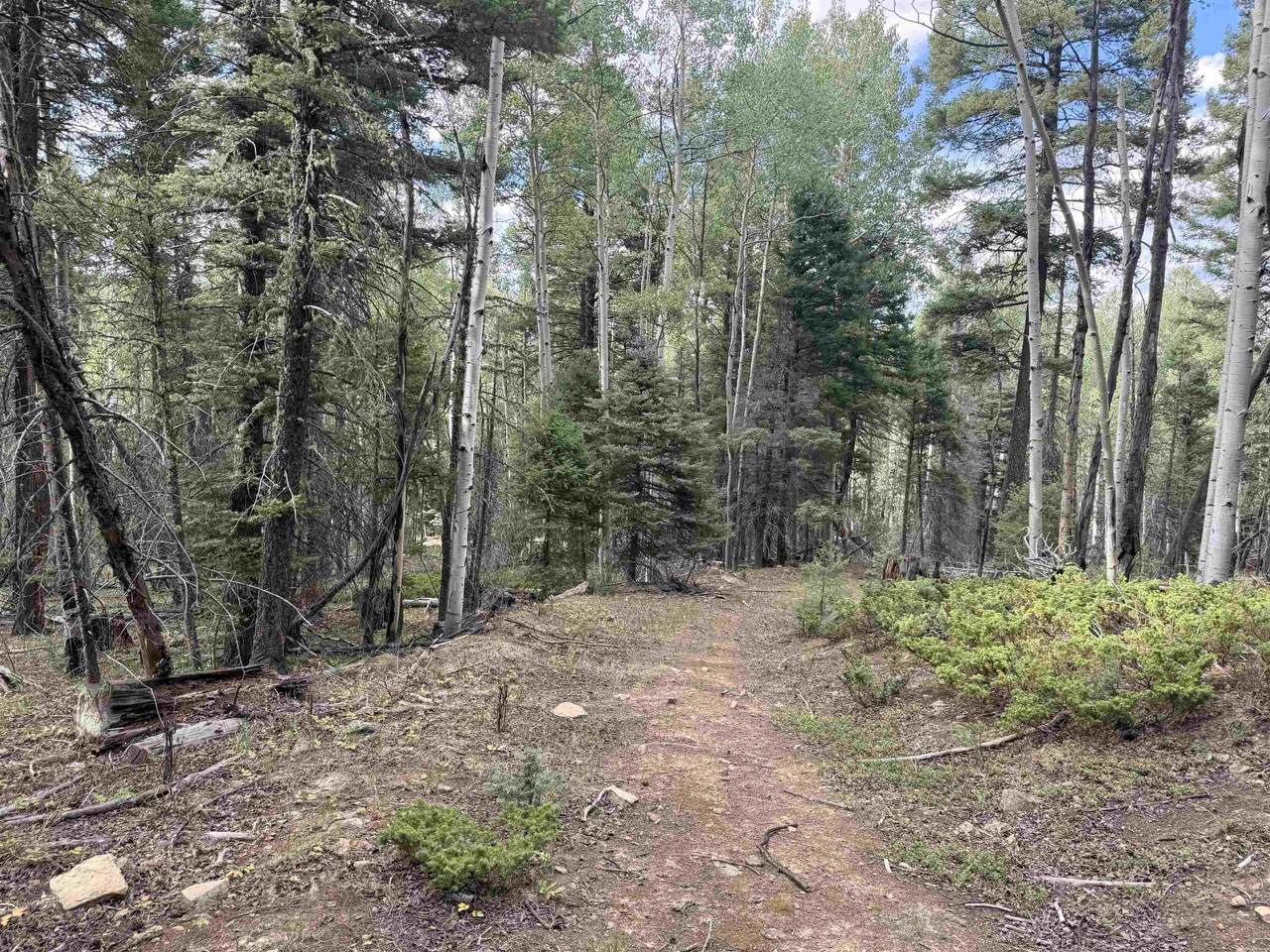 Lot 40 A Vermejo Terrace - Photo 1