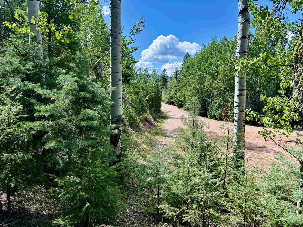 Lot 1568 Luna Drive - Photo 1