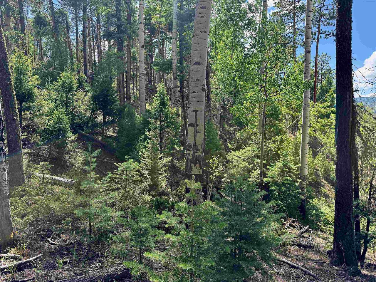 https://bt-photos.global.ssl.fastly.net/taos/1280_boomver_1_115530-2.jpg
