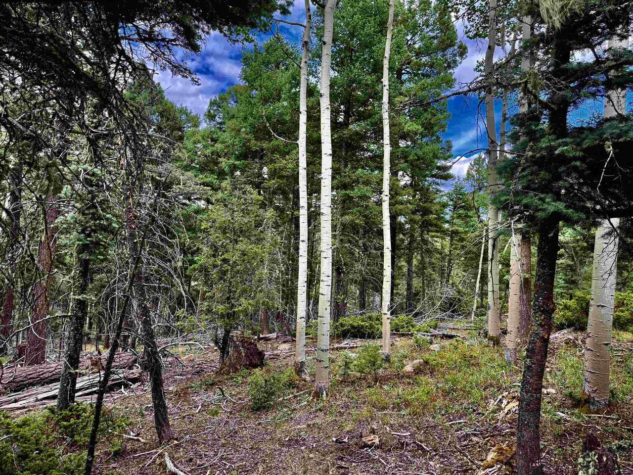 Lot 275 Vermejo Circle - Photo 1