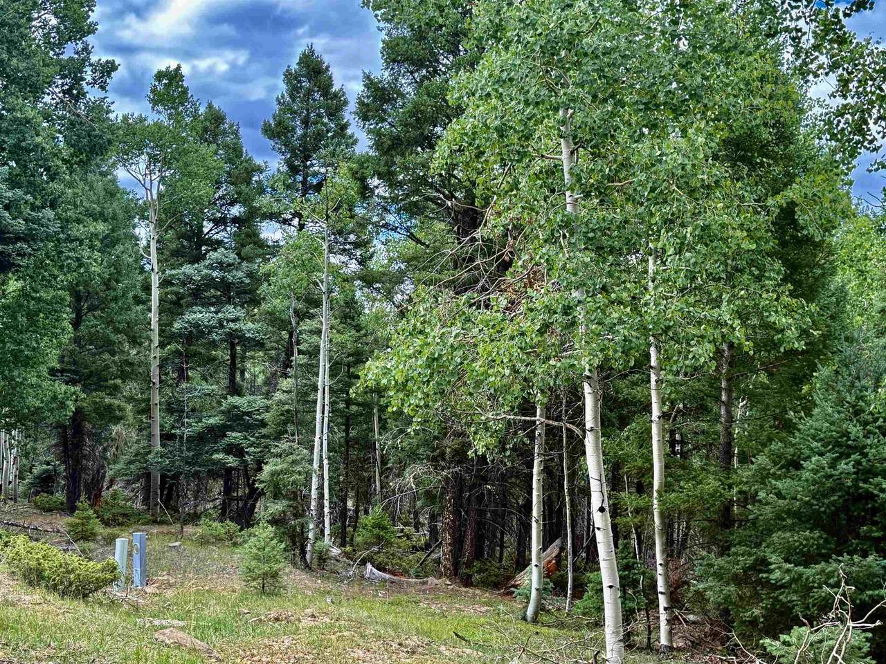 https://bt-photos.global.ssl.fastly.net/taos/1280_boomver_1_115538-2.jpg