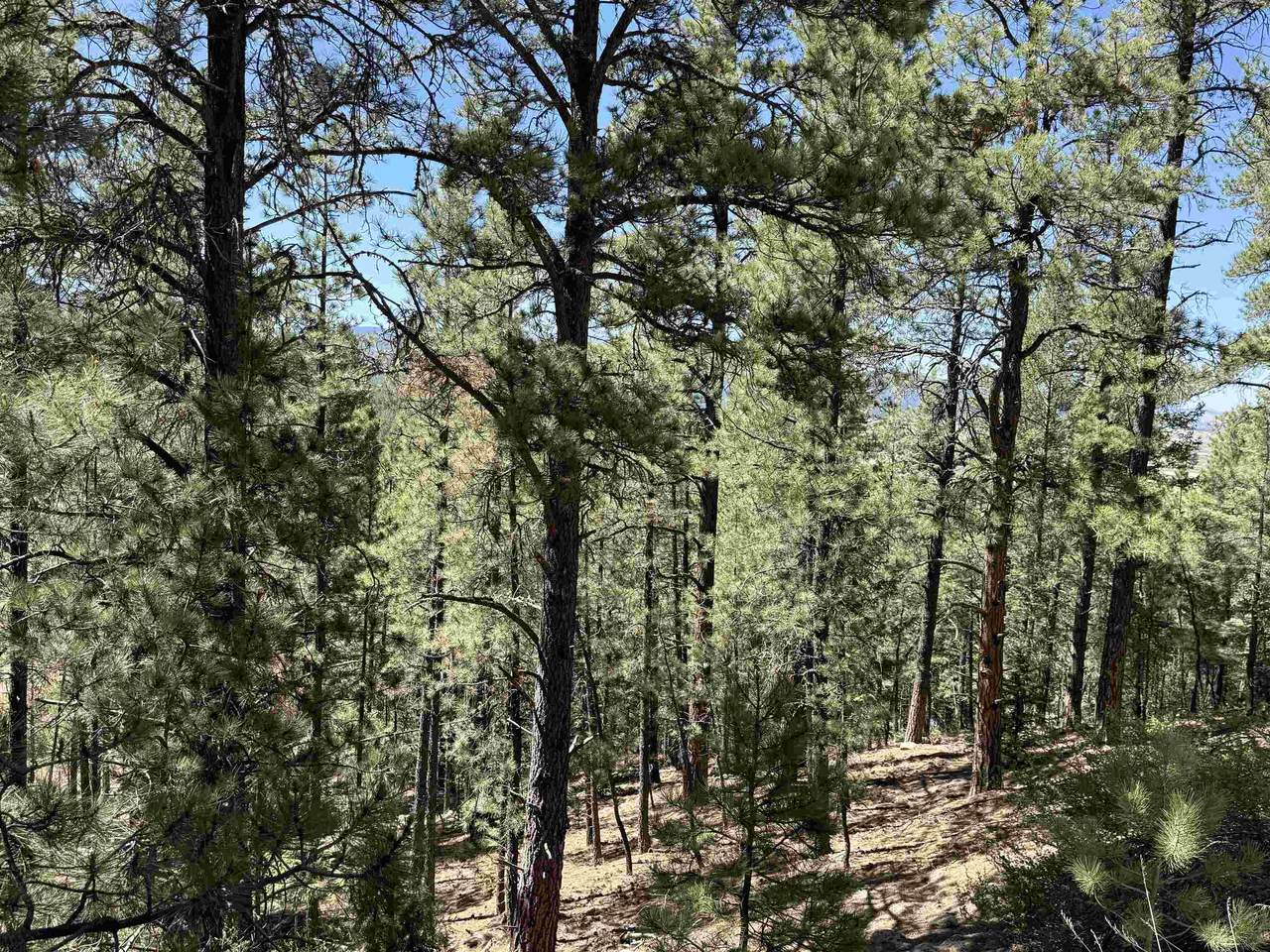 https://bt-photos.global.ssl.fastly.net/taos/1280_boomver_1_115539-2.jpg