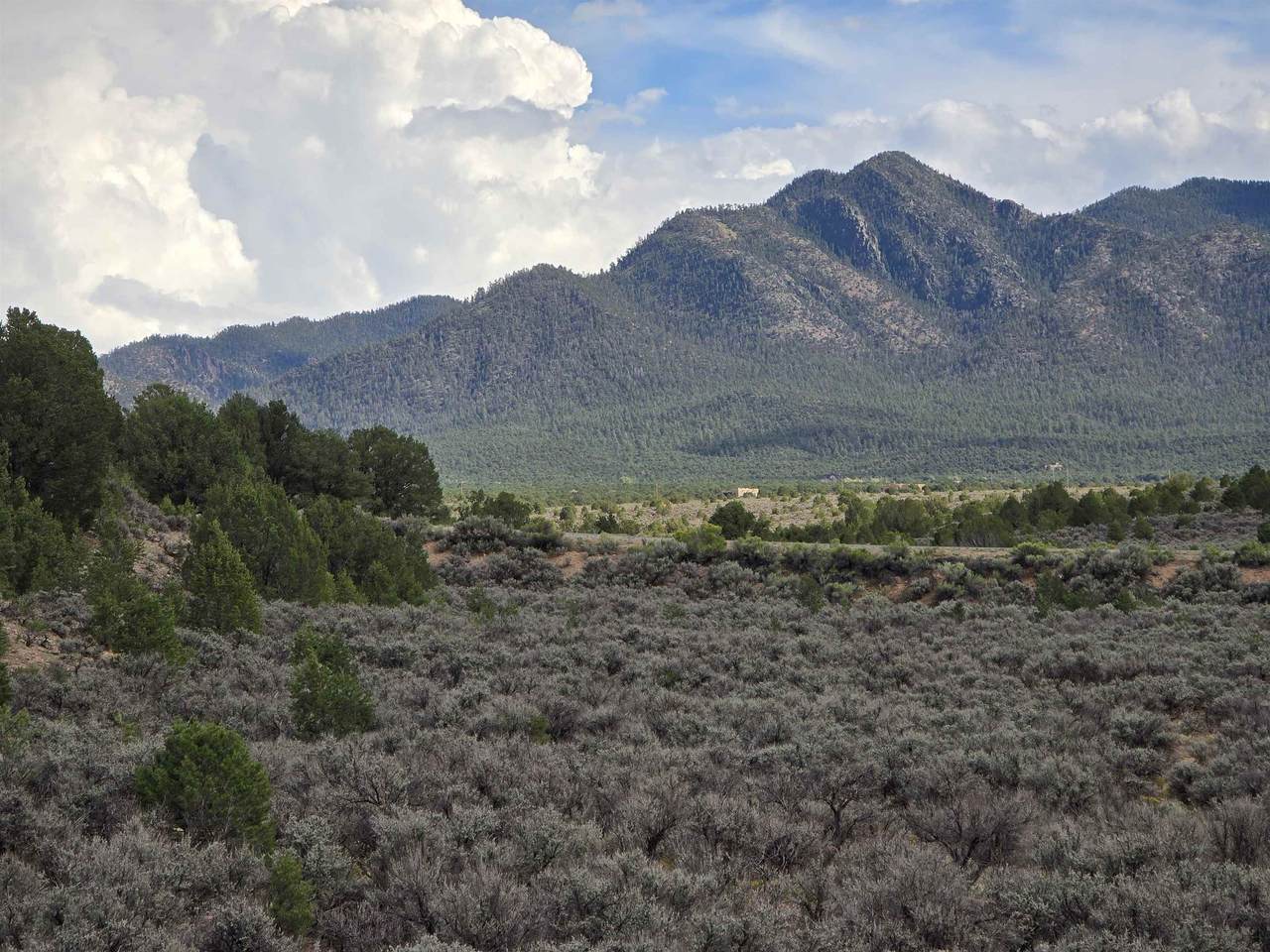 TBD County Road 110 - Photo 1