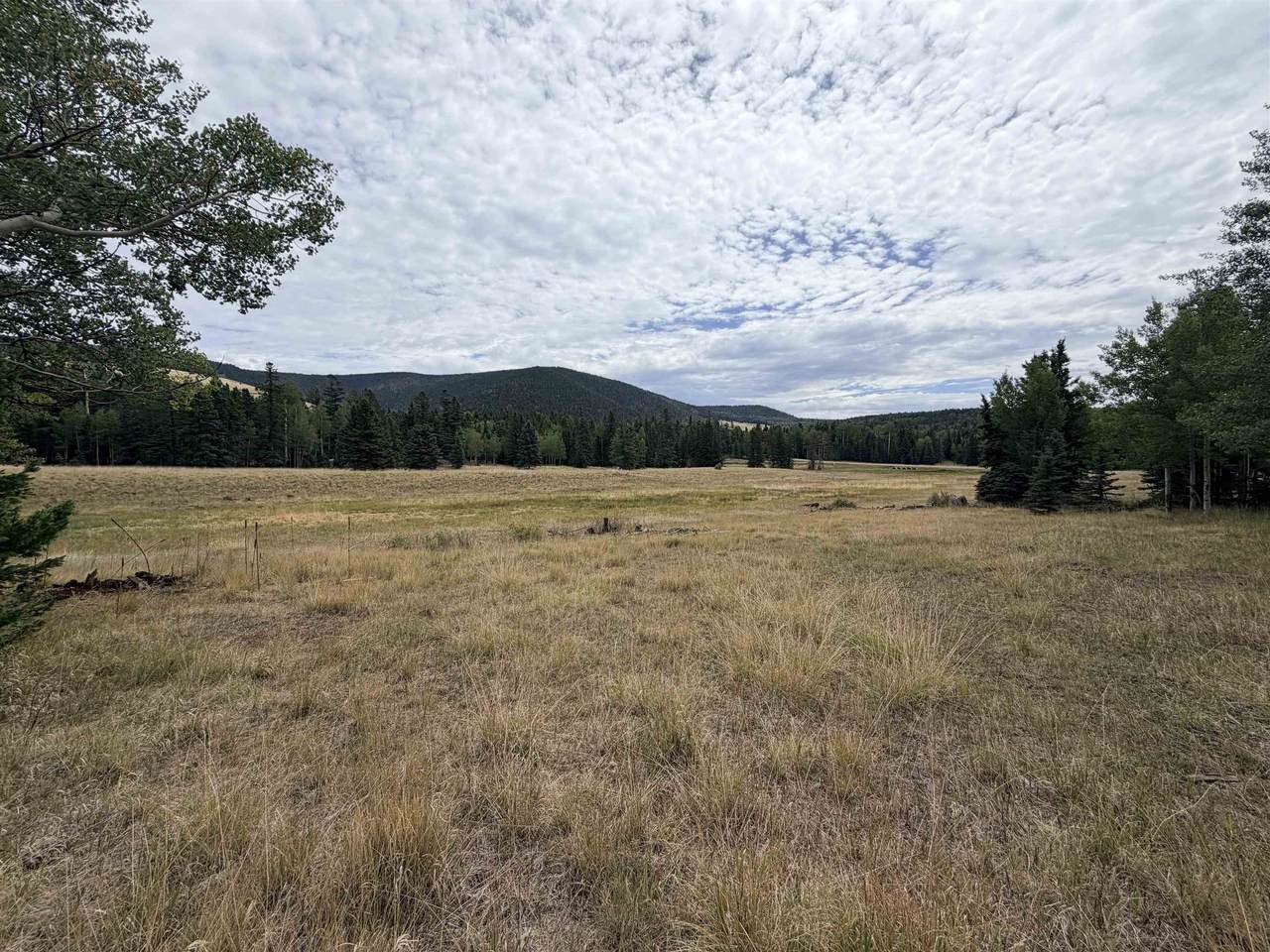 Lot 192 Meadow Glenn - Photo 1