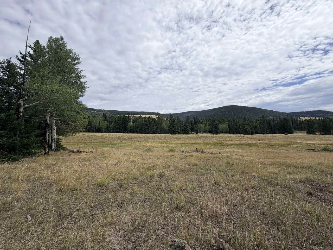 https://bt-photos.global.ssl.fastly.net/taos/1280_boomver_1_115594-2.jpg