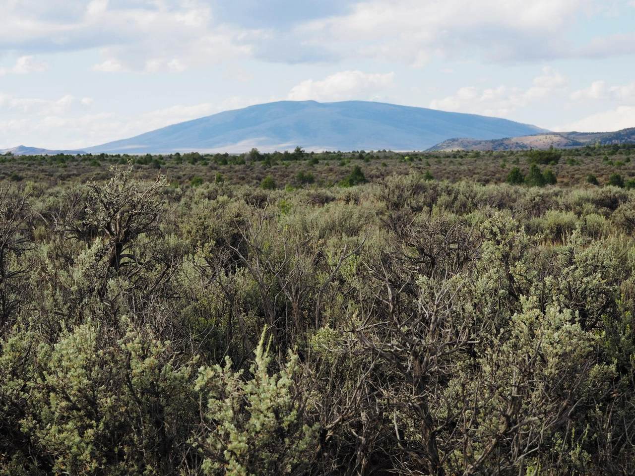 https://bt-photos.global.ssl.fastly.net/taos/1280_boomver_1_115596-2.jpg