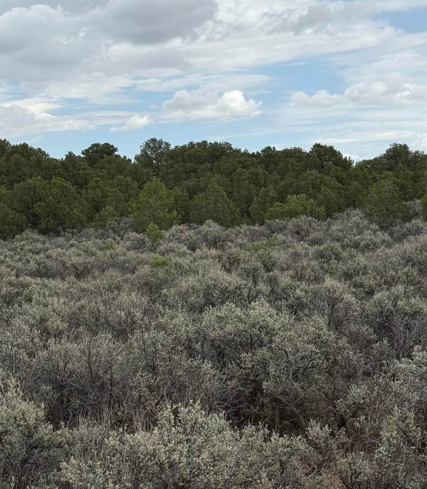 Lot 2 Colorado Rd - Photo 1