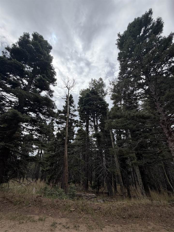 https://bt-photos.global.ssl.fastly.net/taos/1280_boomver_1_115628-2.jpg