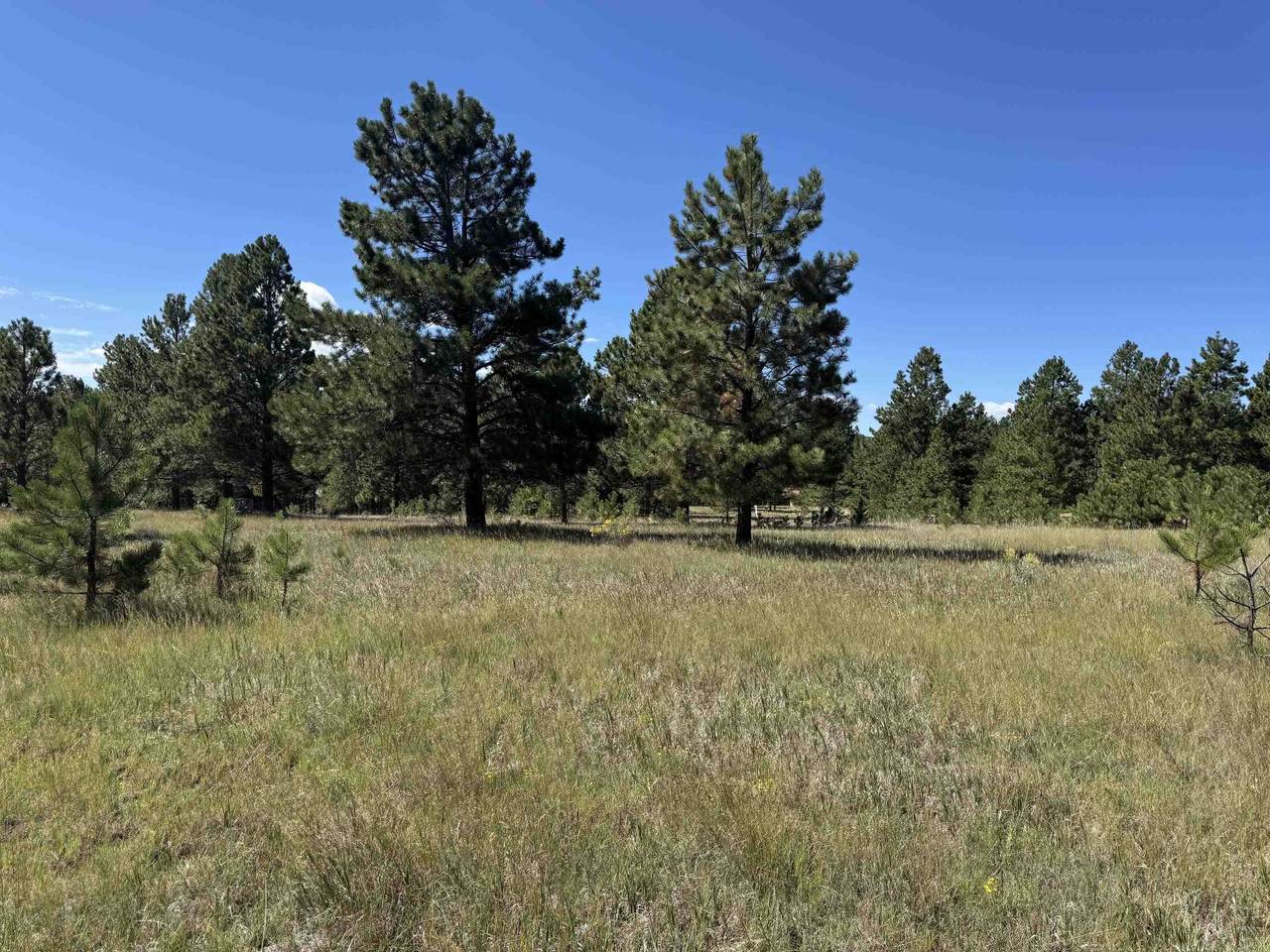 https://bt-photos.global.ssl.fastly.net/taos/1280_boomver_1_115630-2.jpg