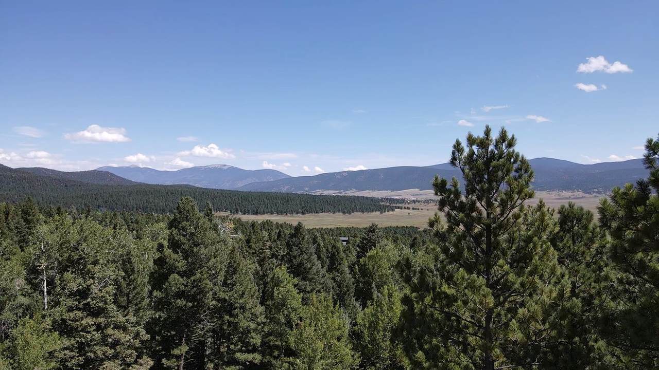 Lot 22 Taos Pines Ranch Rd - Photo 1