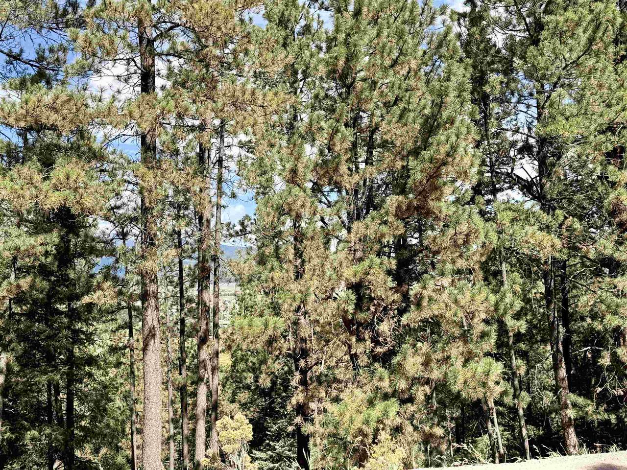 Lot 30A Vail Ave - Photo 1