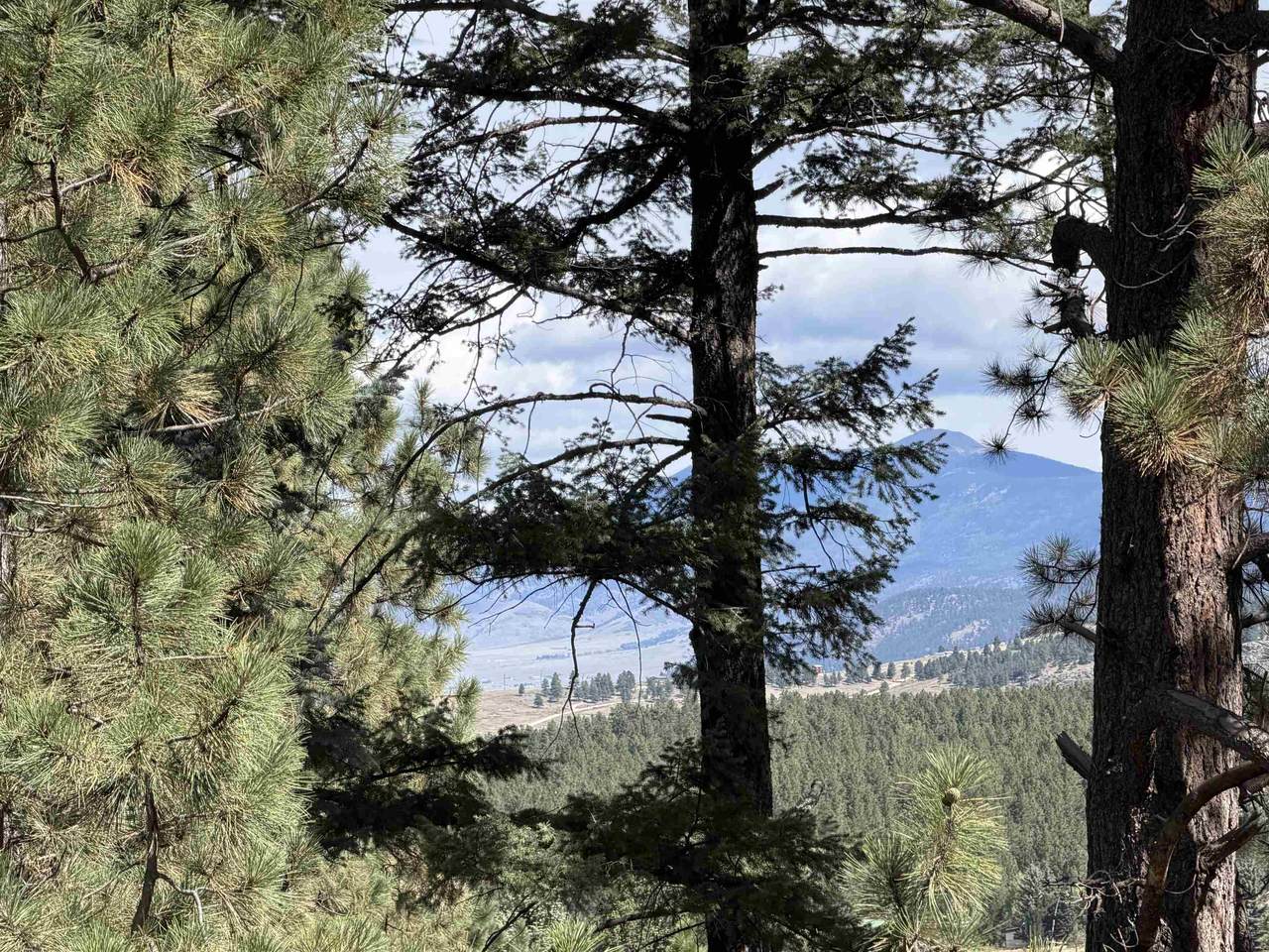 https://bt-photos.global.ssl.fastly.net/taos/1280_boomver_1_115670-2.jpg