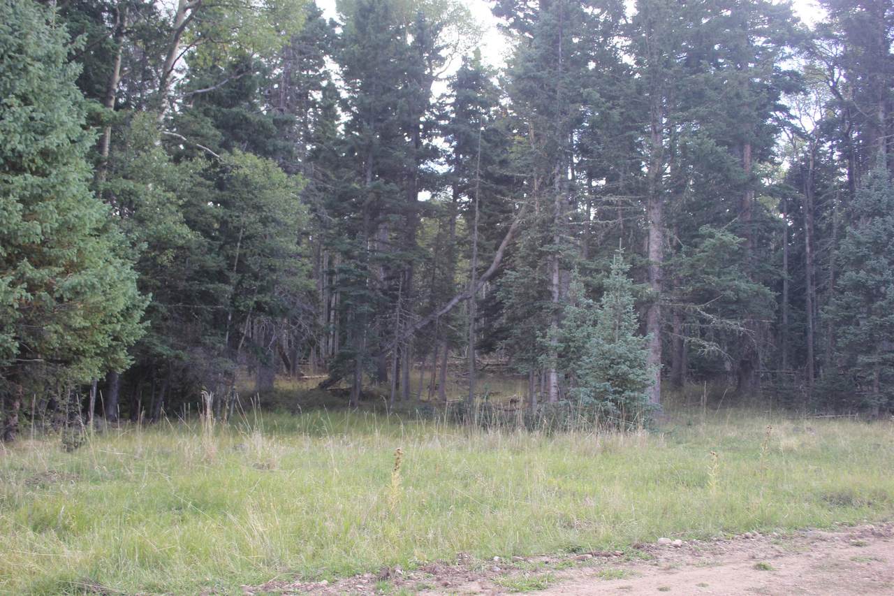 lot 30 Sheilds Ave - Photo 1