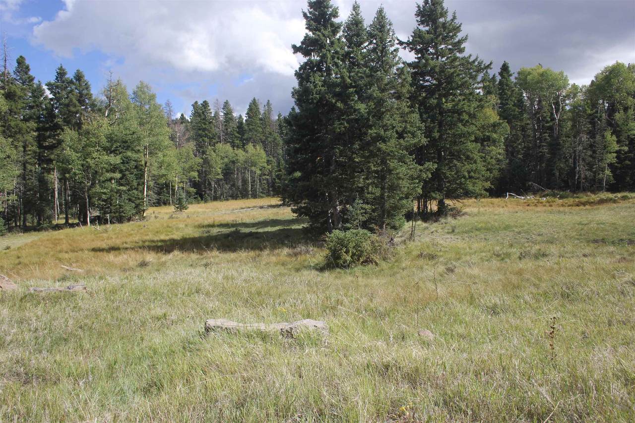 https://bt-photos.global.ssl.fastly.net/taos/1280_boomver_1_115677-2.jpg