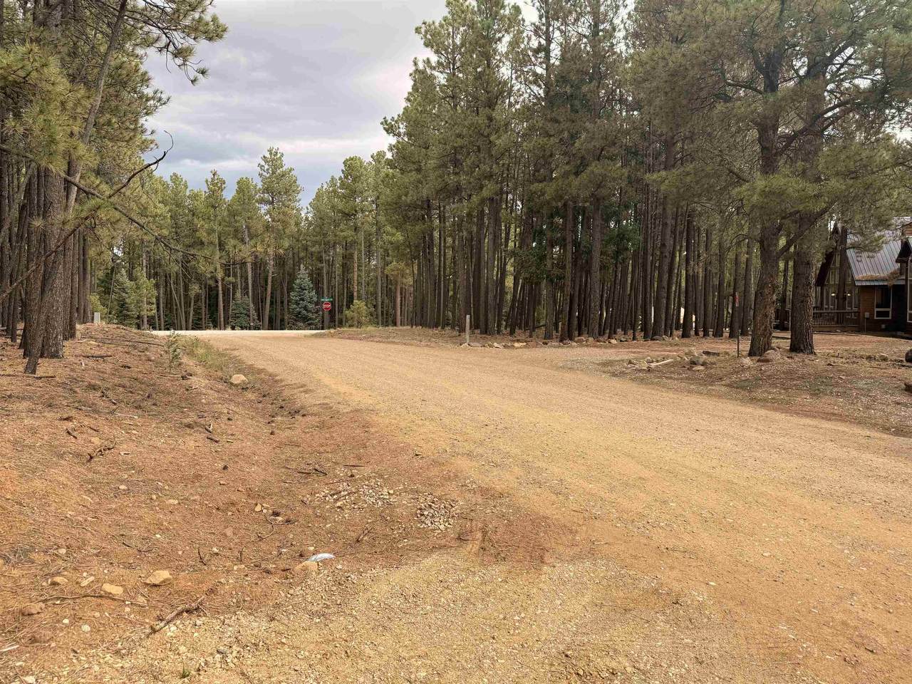 Lot 929 Alamosa Ter - Photo 1