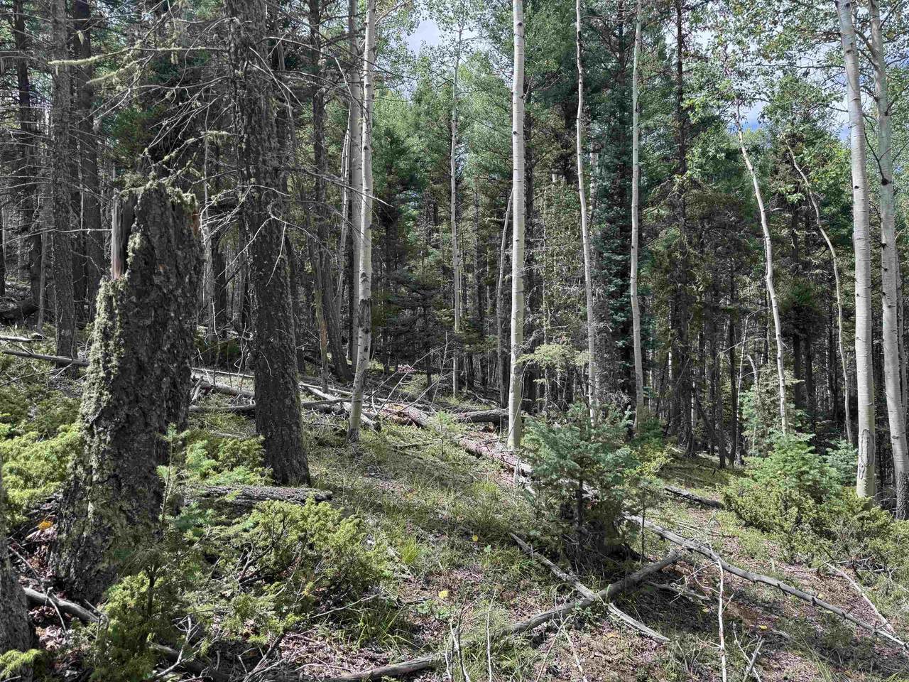 https://bt-photos.global.ssl.fastly.net/taos/1280_boomver_1_115684-2.jpg
