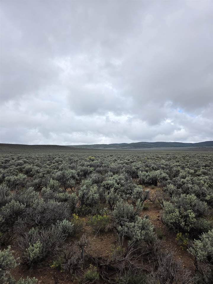 Unit 4 Lot 8 Sangre De Cristo Rd - Photo 1