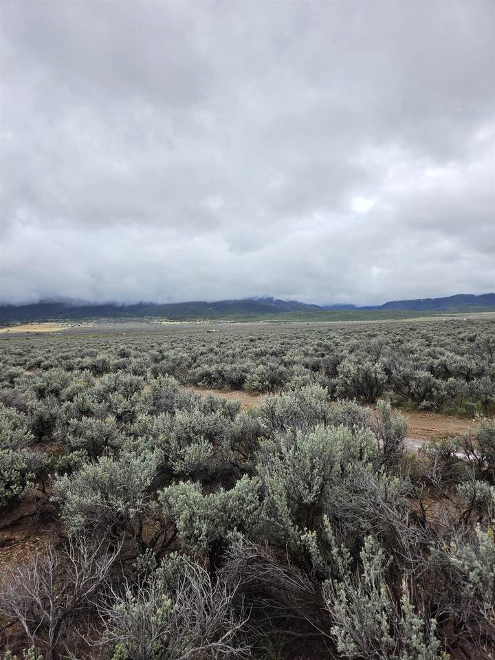 https://bt-photos.global.ssl.fastly.net/taos/1280_boomver_1_115706-2.jpg