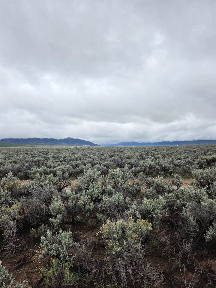 https://bt-photos.global.ssl.fastly.net/taos/1280_boomver_1_115706-2.jpg
