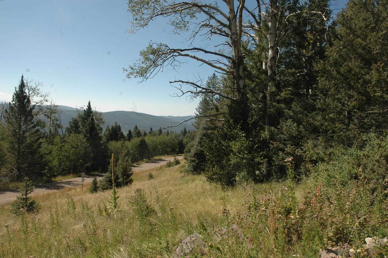 lot 1262 Starlight Overlook - Photo 1