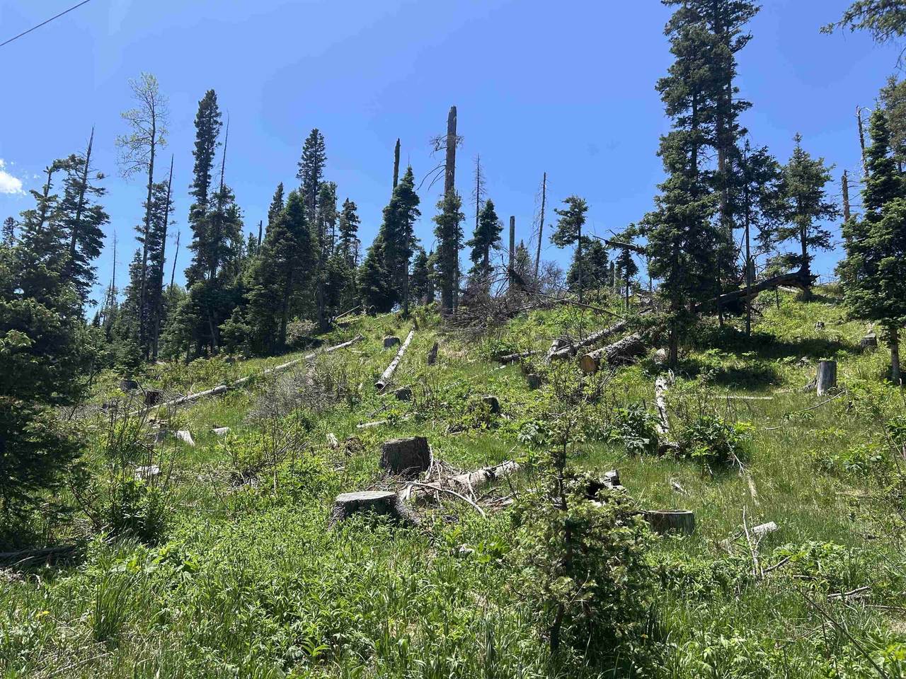 Hidden Valley Rd - Photo 1