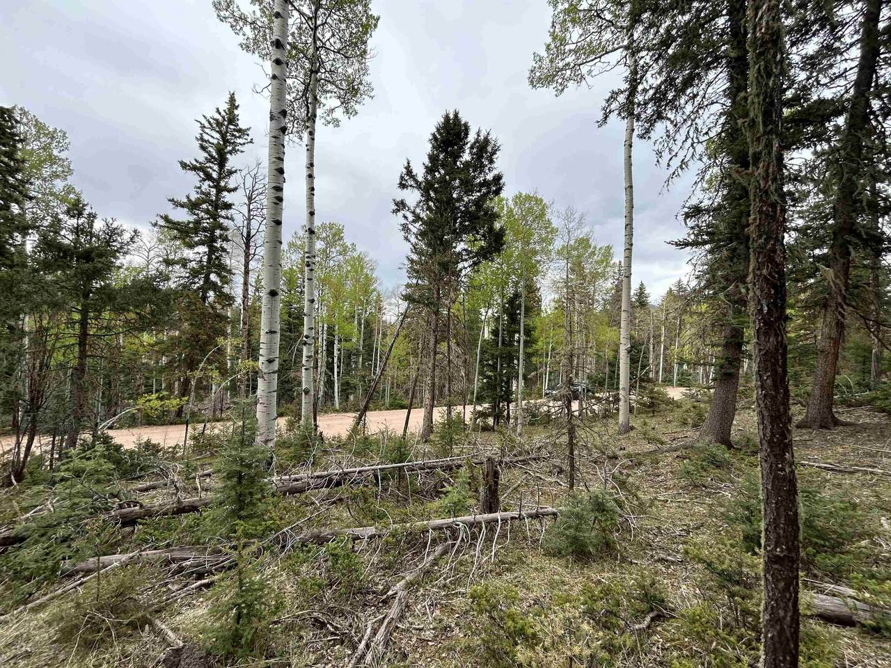 Lot 132 Rio Grande Terrace - Photo 1