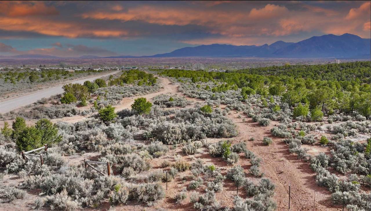 TBD Miranda Canyon Road - Photo 1