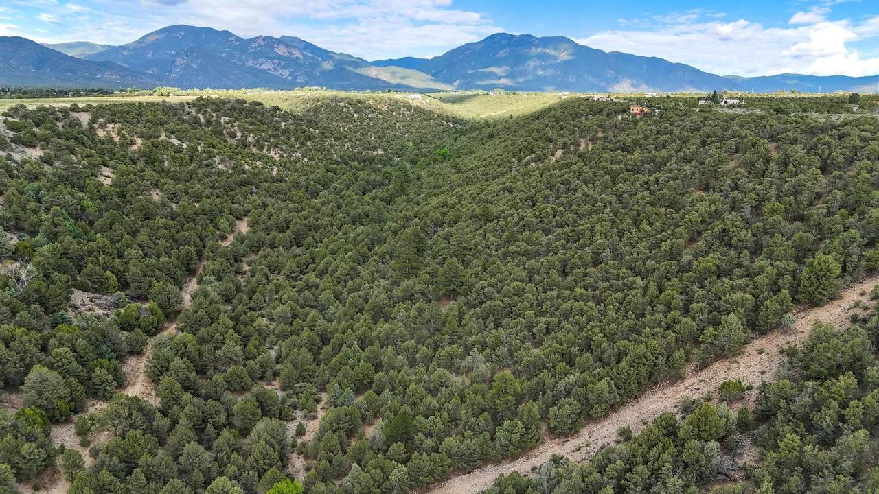Canyon Of The Woods Off Hondo Seco Road - Photo 1
