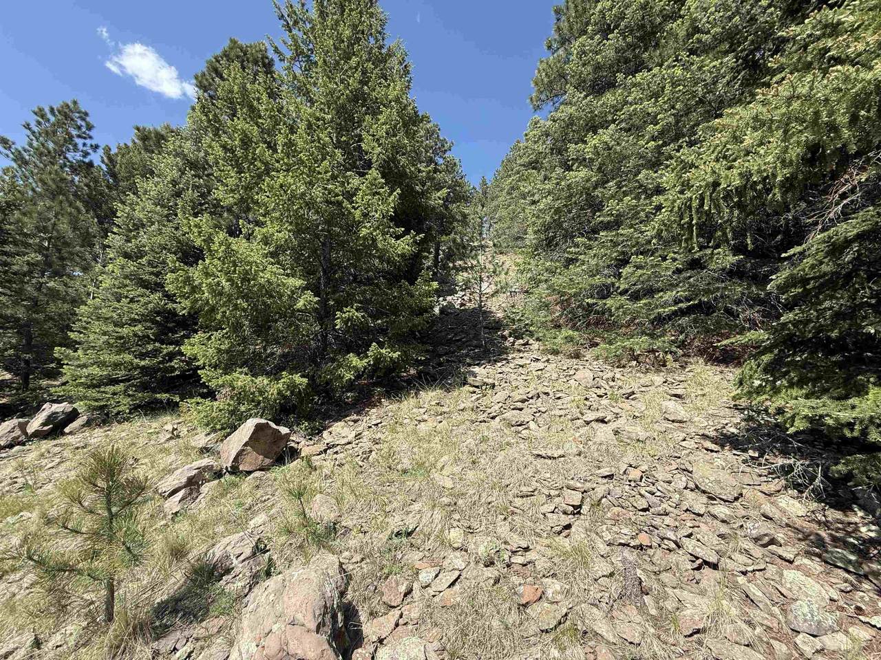 https://bt-photos.global.ssl.fastly.net/taos/1280_boomver_2_113651-2.jpg
