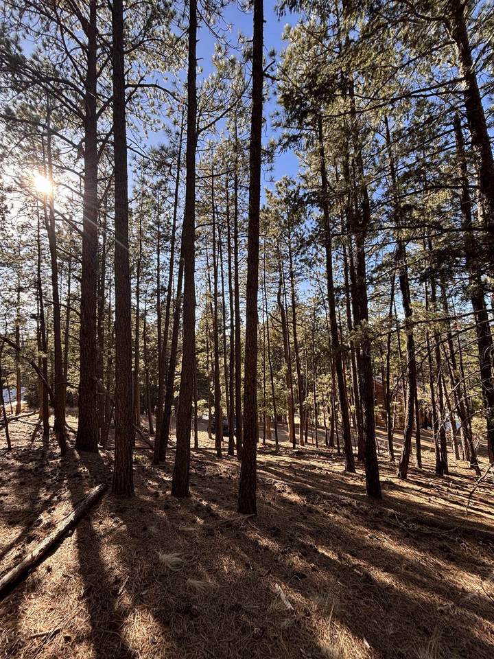 Lot 88 Mammoth Mountain Rd - Photo 1