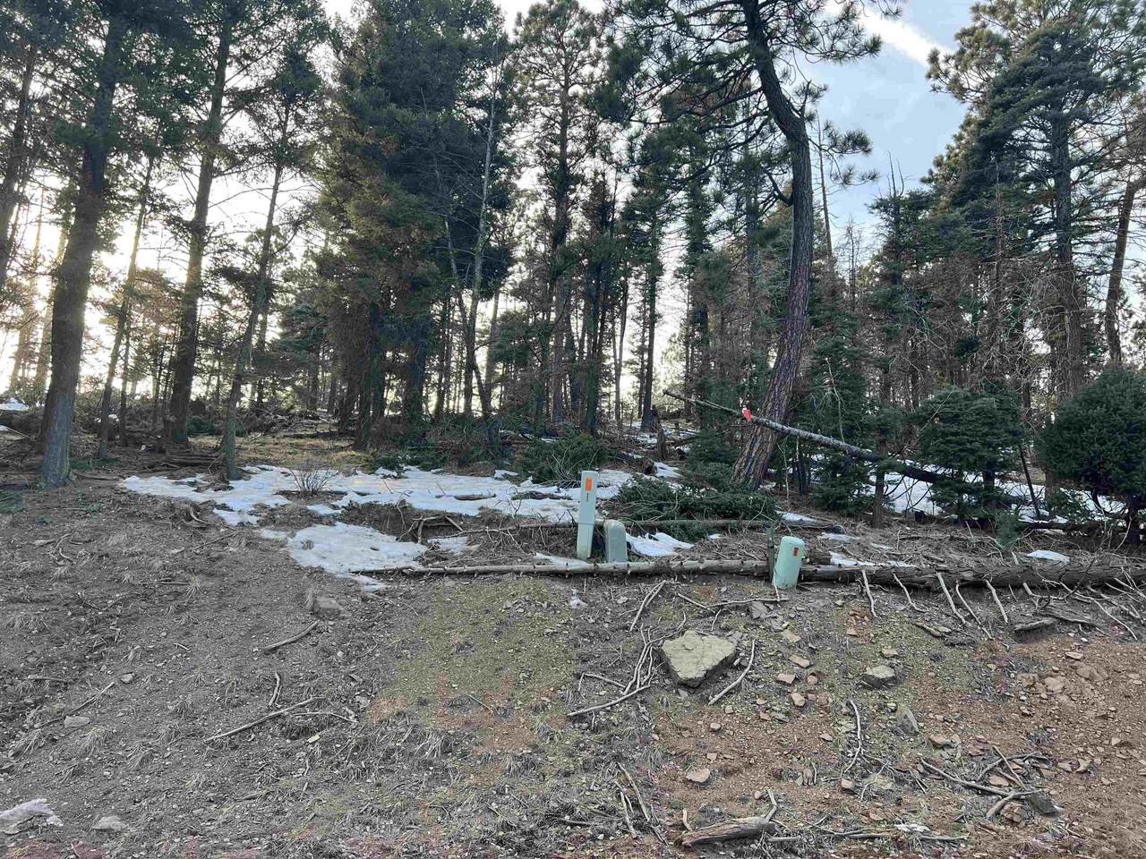 lot 352 Vail Loop - Photo 1