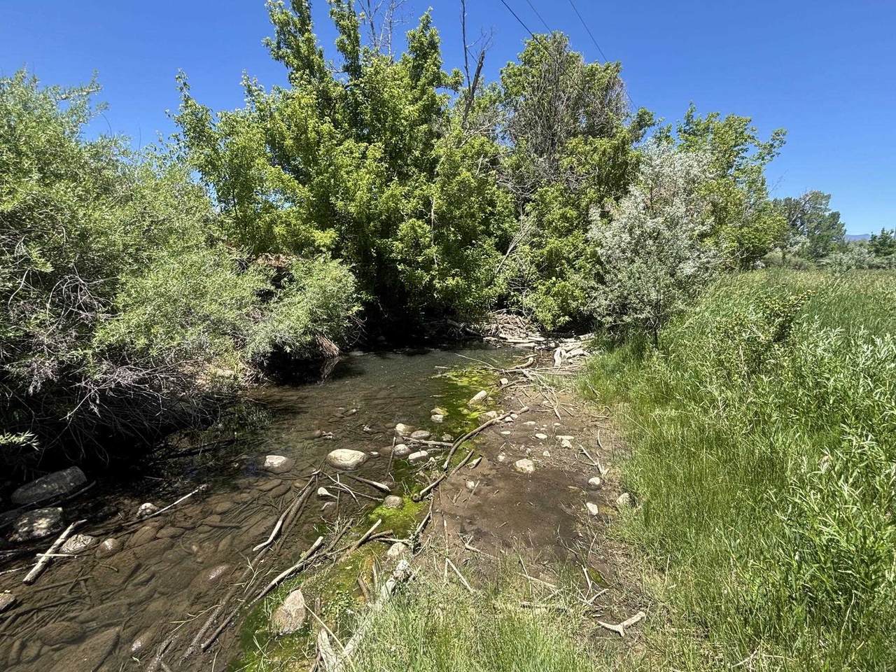 https://bt-photos.global.ssl.fastly.net/taos/1280_boomver_2_115126-2.jpg