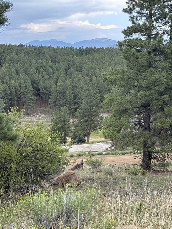 Lot 1292 San Mateo Drive - Photo 1