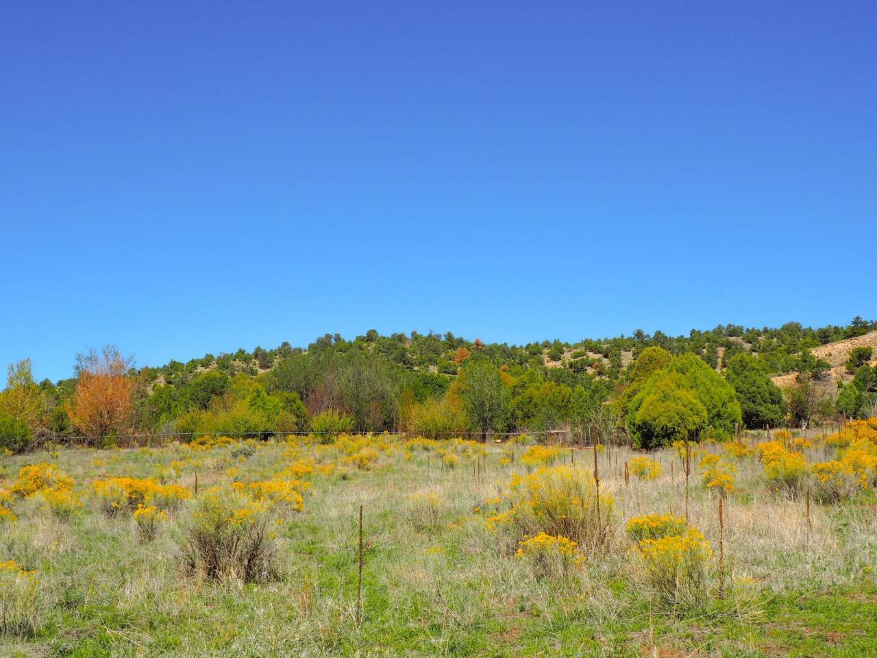 https://bt-photos.global.ssl.fastly.net/taos/1280_boomver_2_115695-2.jpg