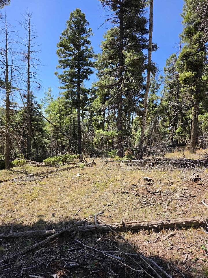 357 Vail Loop - Photo 1