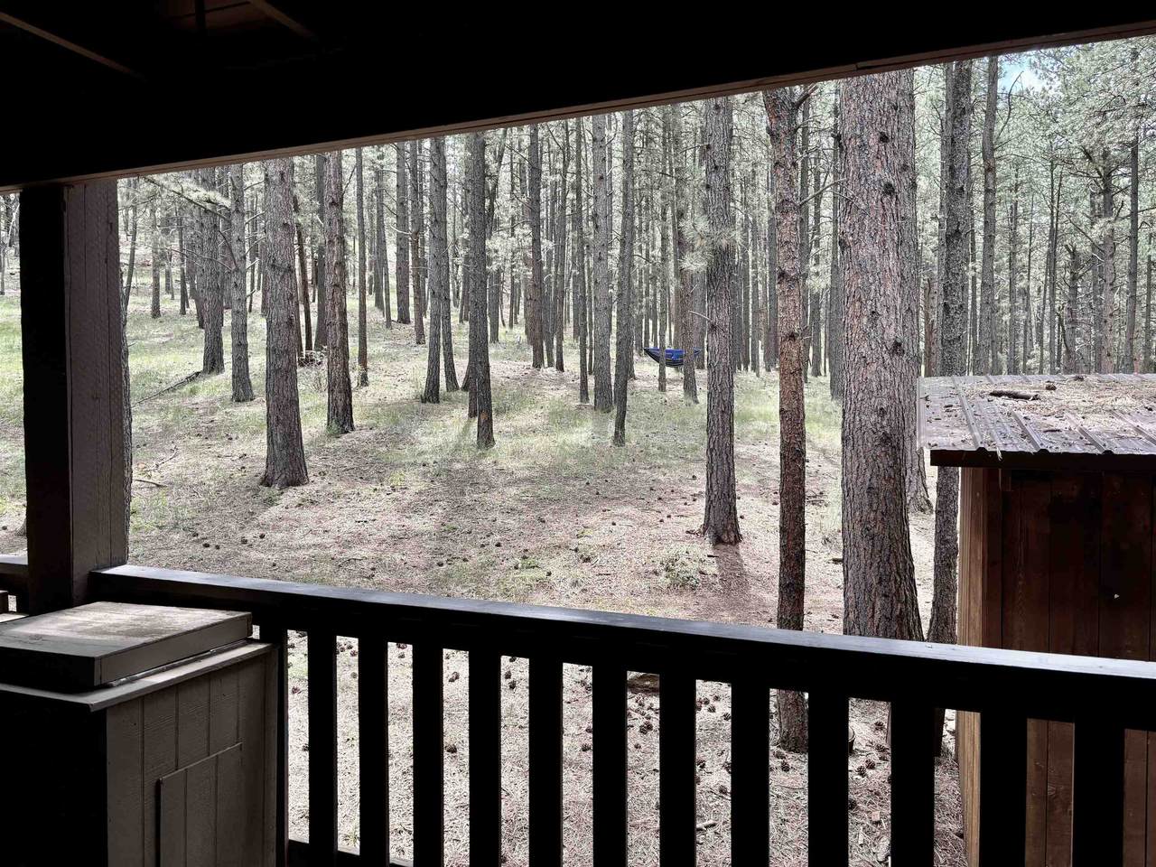 64 Mammoth Mountain Rd - Photo 1